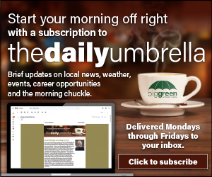 The Daily Umbrella